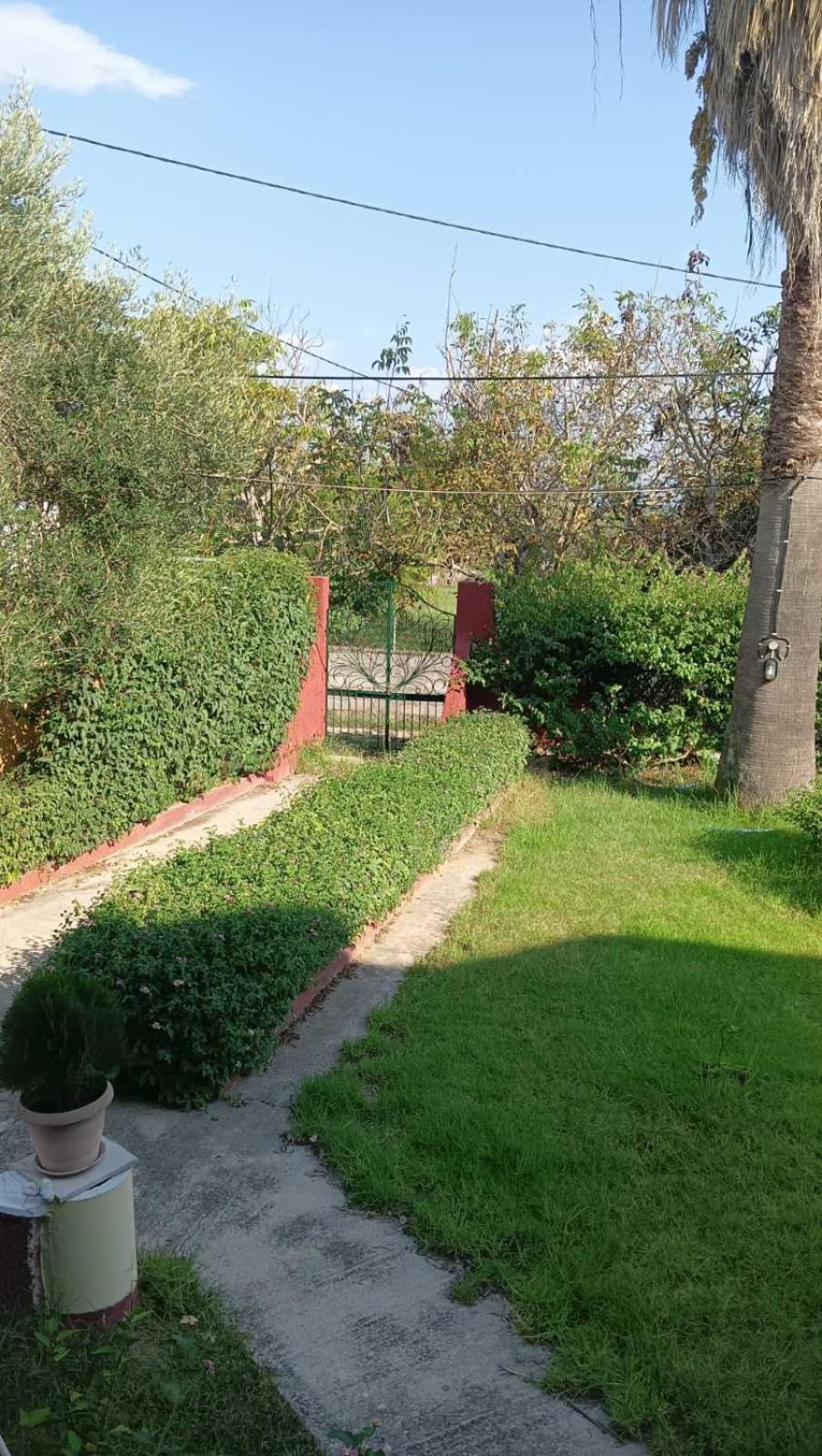 Il Mirto Verde Lefkímmi Eksteriør billede